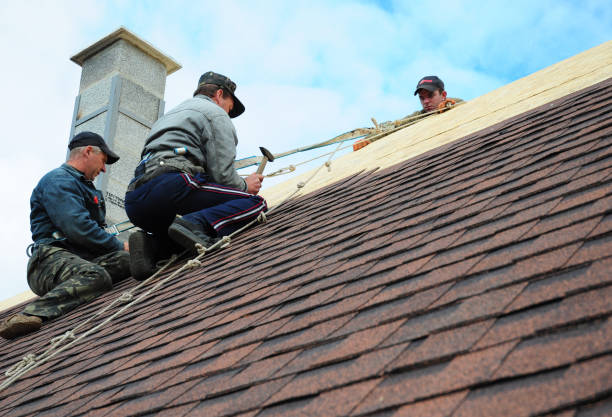 Best Roof Maintenance Services  in Prosser, WA